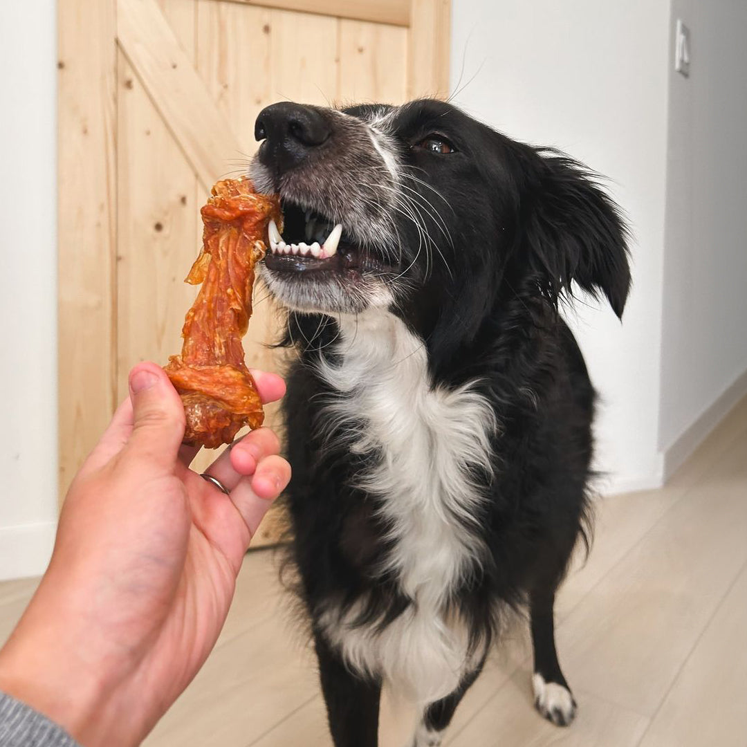 ๐๐ ๐ฌ๐ผ๐๐ฟ ๐๐ผ๐ด ๐๐ฒ๐๐๐ถ๐ป๐ด ๐๐ป๐ผ๐๐ด๐ต ๐ฃ๐ฟ๐ผ๐๐ฒ๐ถ๐ป?๐๐ช