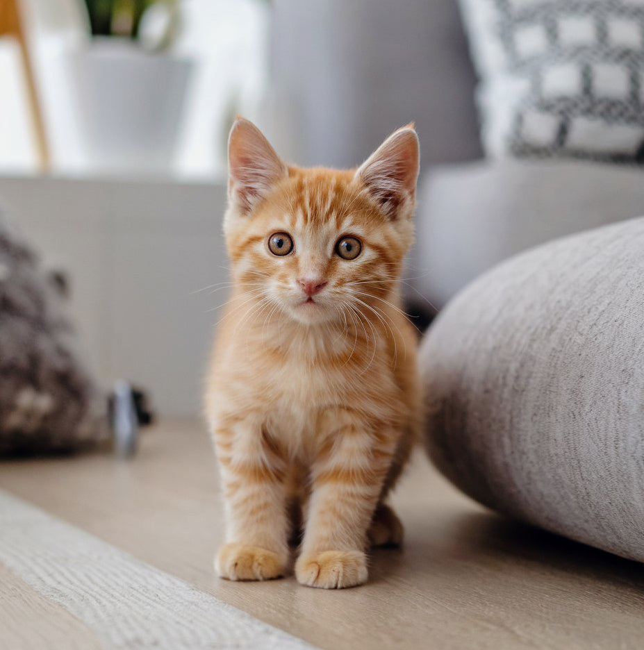 ๐ฒ ๐ฆ๐ถ๐ด๐ป๐ ๐ฌ๐ผ๐๐ฟ ๐๐ฎ๐ ๐๐ ๐ช๐ฒ๐น๐น-๐๐ฎ๐ฟ๐ฒ๐ฑ ๐๐ผ๐ฟ!๐ฝ๐