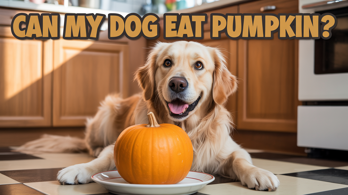 ๐ Can Dogs and Cats Eat Pumpkin?