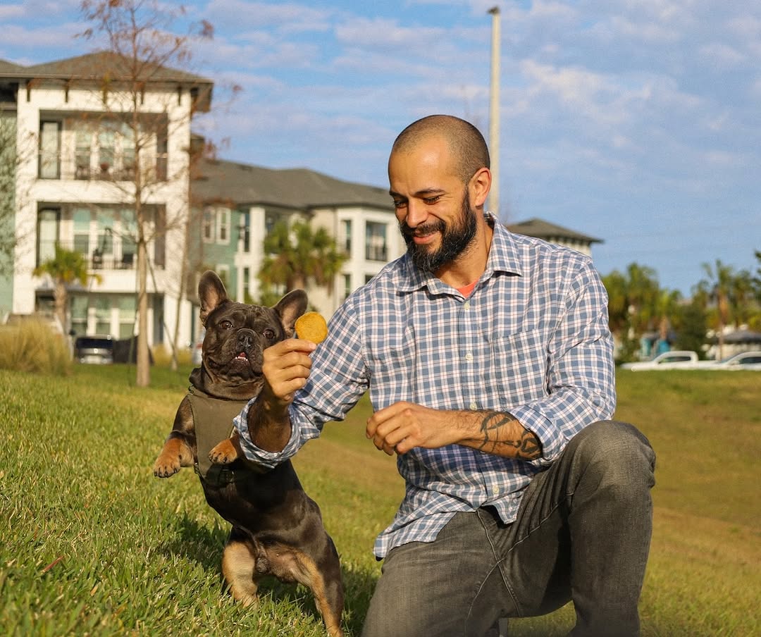 🐾✨ Do Dogs Understand Our Conversations? 🐶✨ Otherwise, how can they do tricks?