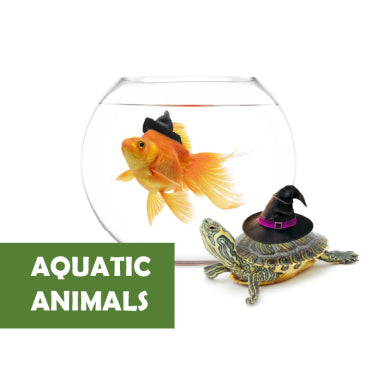 AQUATIC ANIMALS