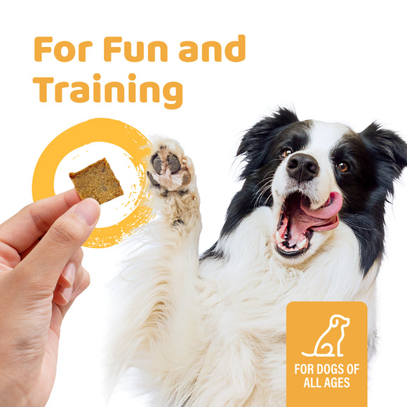 iPaw - Air-dried Turkey Dog Treats