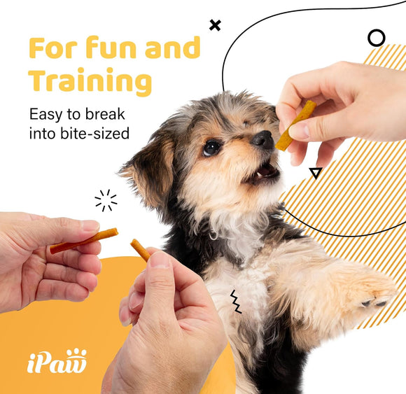 Final Batch on Sale โ Near-Expired Products - iPaw - Salmon Stick (Best by Dec 2025)