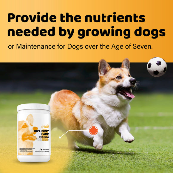 iPaw - Hip+Joint Care PRO CHEW for Dogs