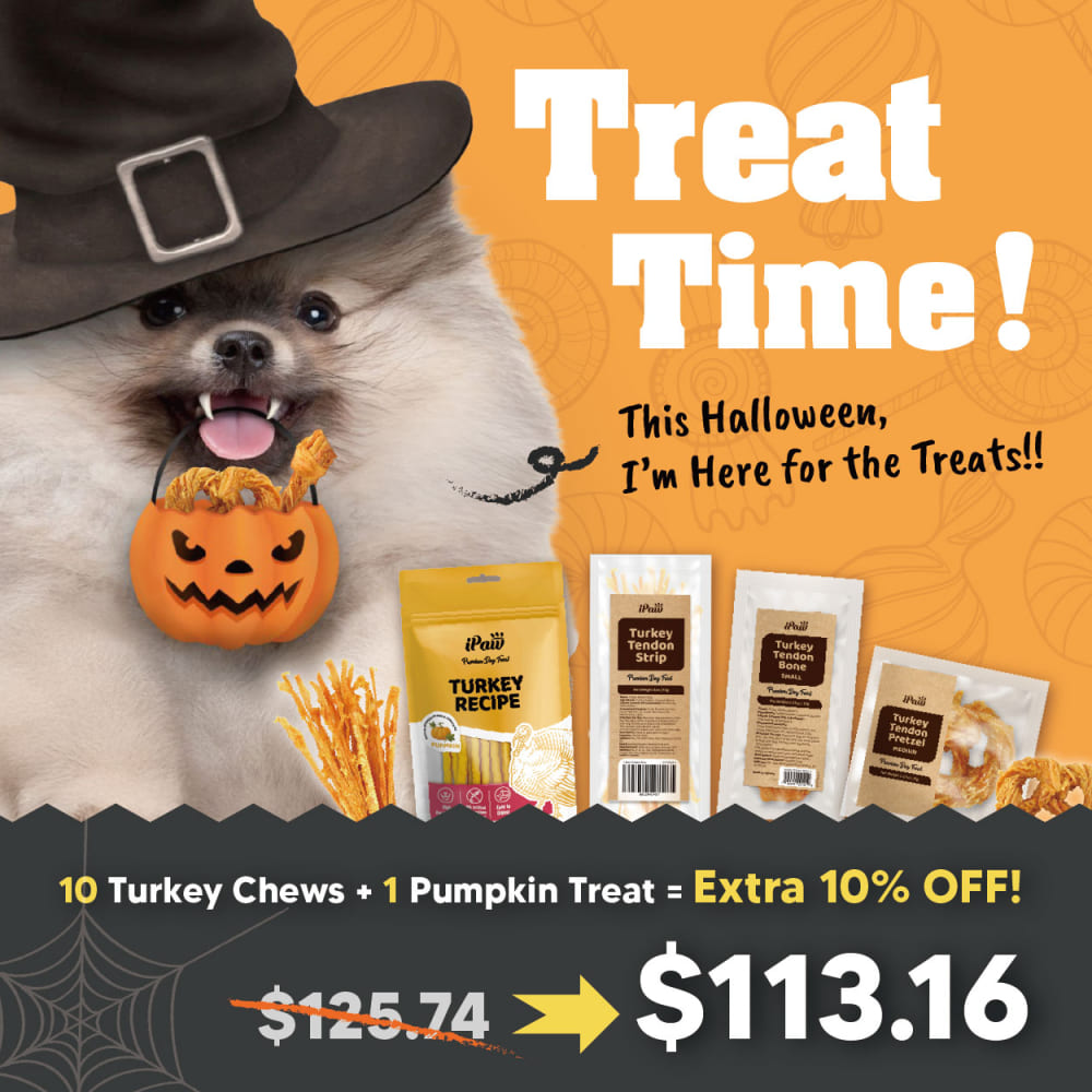 Ipaw banner  1 02d56390 4b22 4ee8 96ad c56793442f46