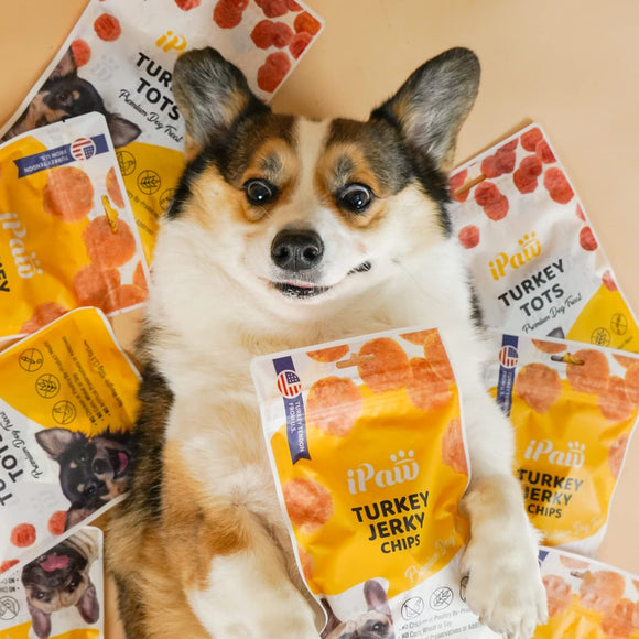 iPaw - Turkey Tendon for Dogs (Turkey Jerky Chips)