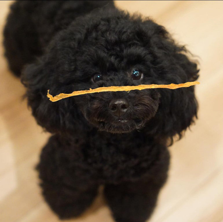 3 simple methods to train your dog 🙌