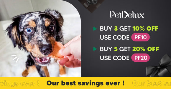 Black Friday Big Sale