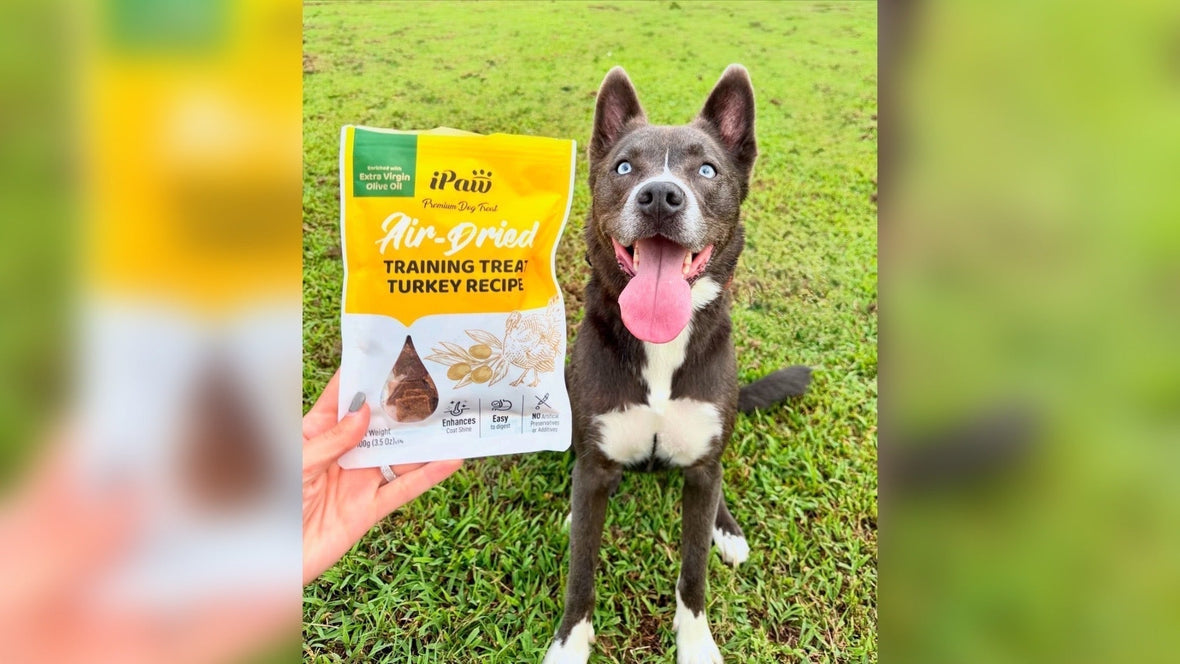 Pet Parents Must Know: Air-Dried Treats Your Dog Will Love! 🐶✨