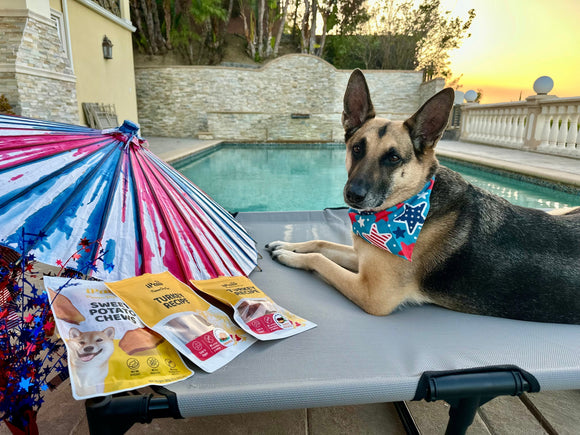 How to Choose the Right Dog Treats (Vet-Approved Tips You’ll Want to Know!)