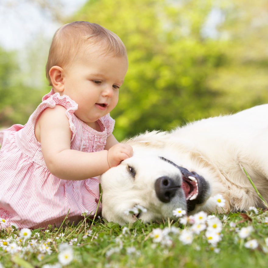 Are your cat/dog and kid(s) best buddies or frenemies❓
