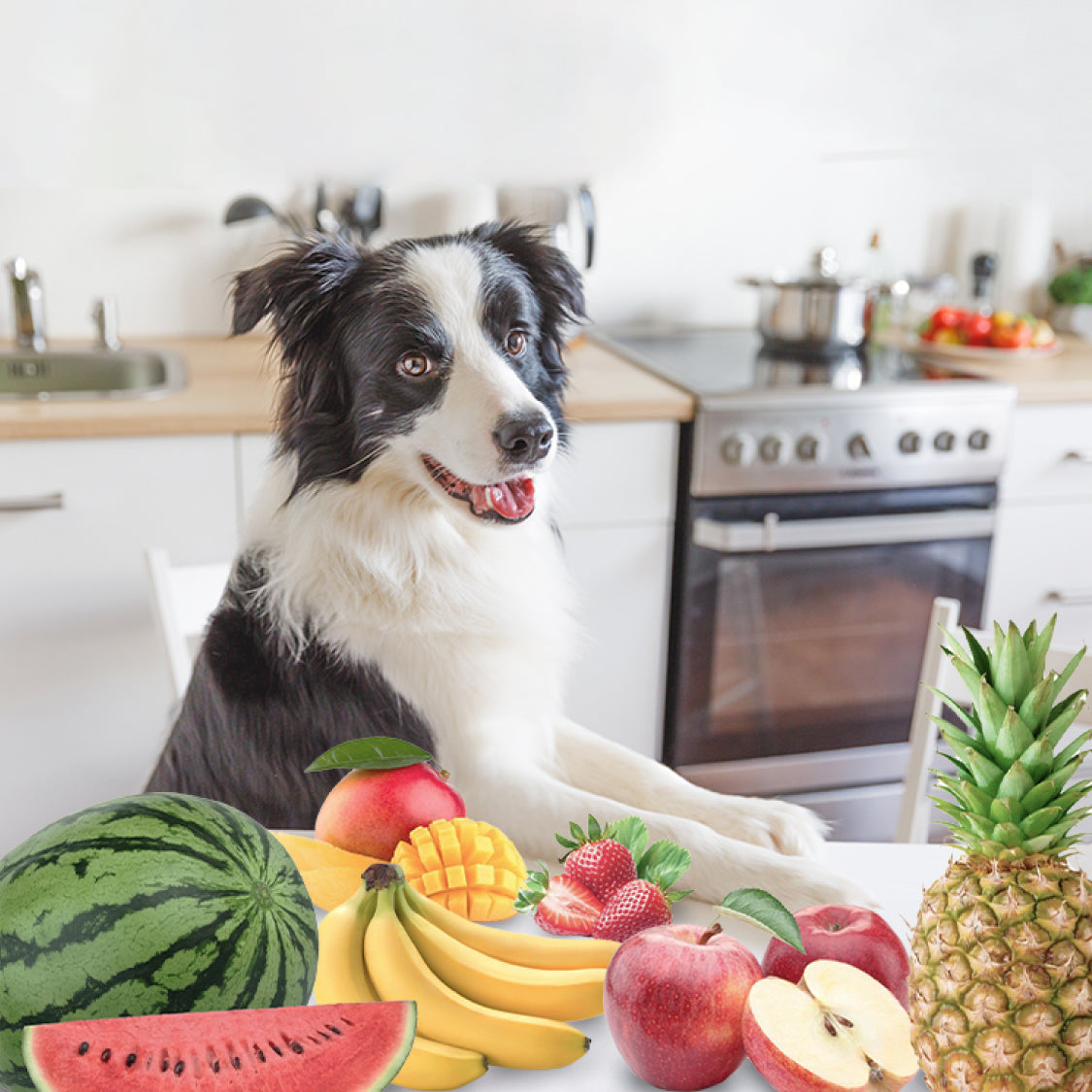 Can dogs eat the below fruits⁉