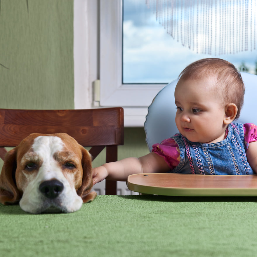 Are your cat/dog and kid(s) best buddies or frenemies❓
