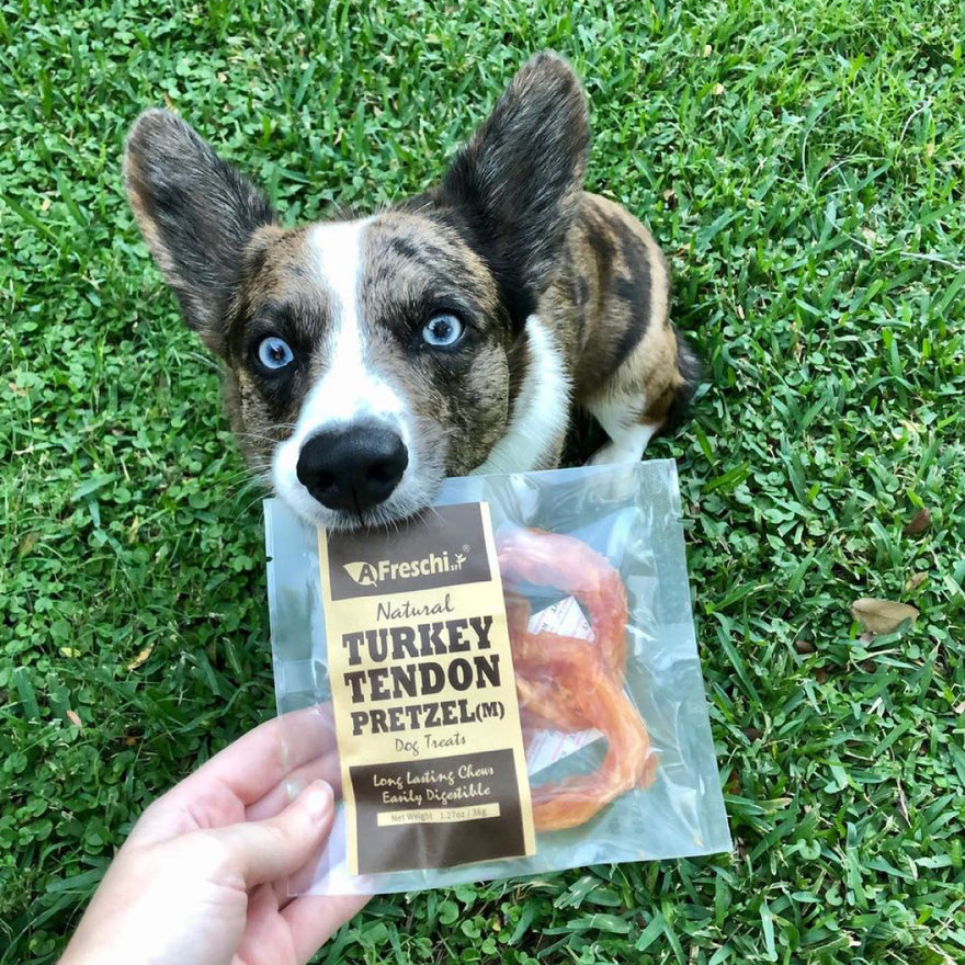 Turkey tendon is a great treat and dogs know it!