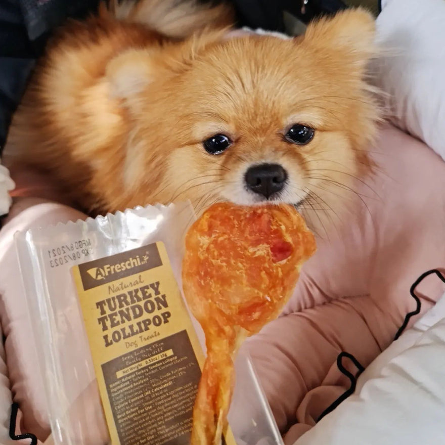 How to choose treats for dogs?