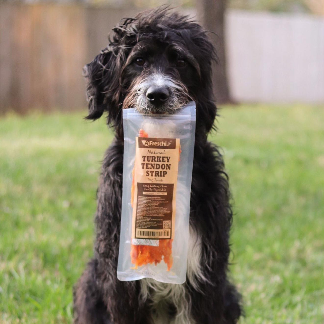 Are Turkey Tendons Good for Dogs?