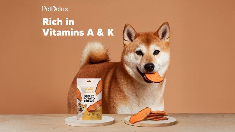 Can Dogs Eat Sweet Potatoes? A Complete Guide for Pet Owners