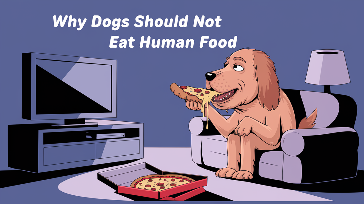 Why Dogs Should Not eat Human Food