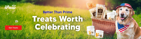 Before You Buy Afreschi on Amazon, Read This First