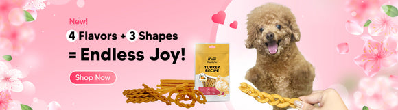 Treat Time Just Got Tastier! New Turkey Tendon Shapes & Flavors for Your Pup🐶💕