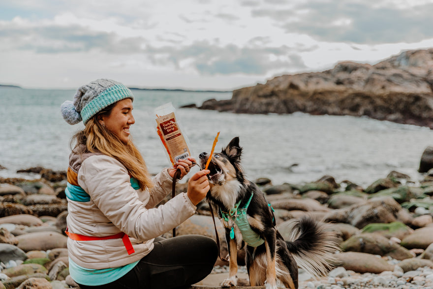 Are turkey tendons rawhide? Not Even Close!