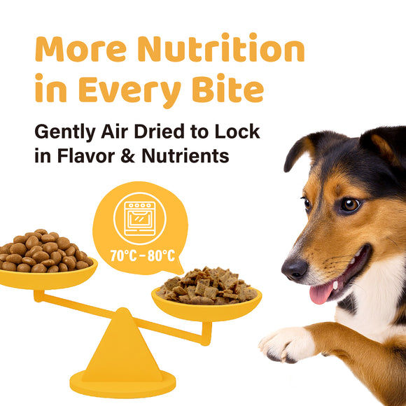 iPaw - Air-dried Turkey Dog Treats