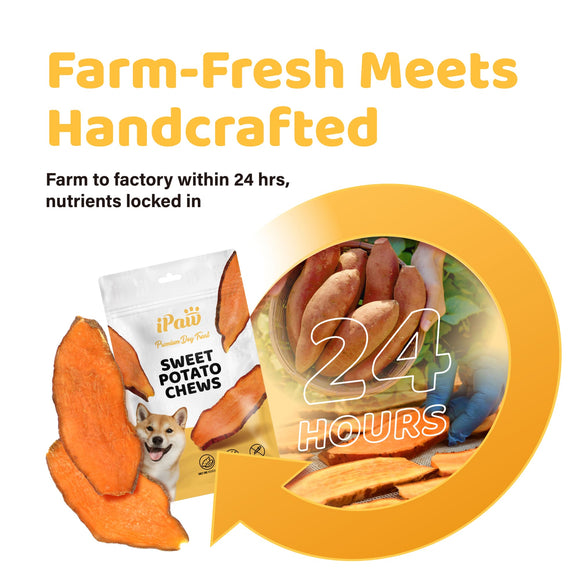 iPaw -  Sweet Potato Chews (3.5oz)