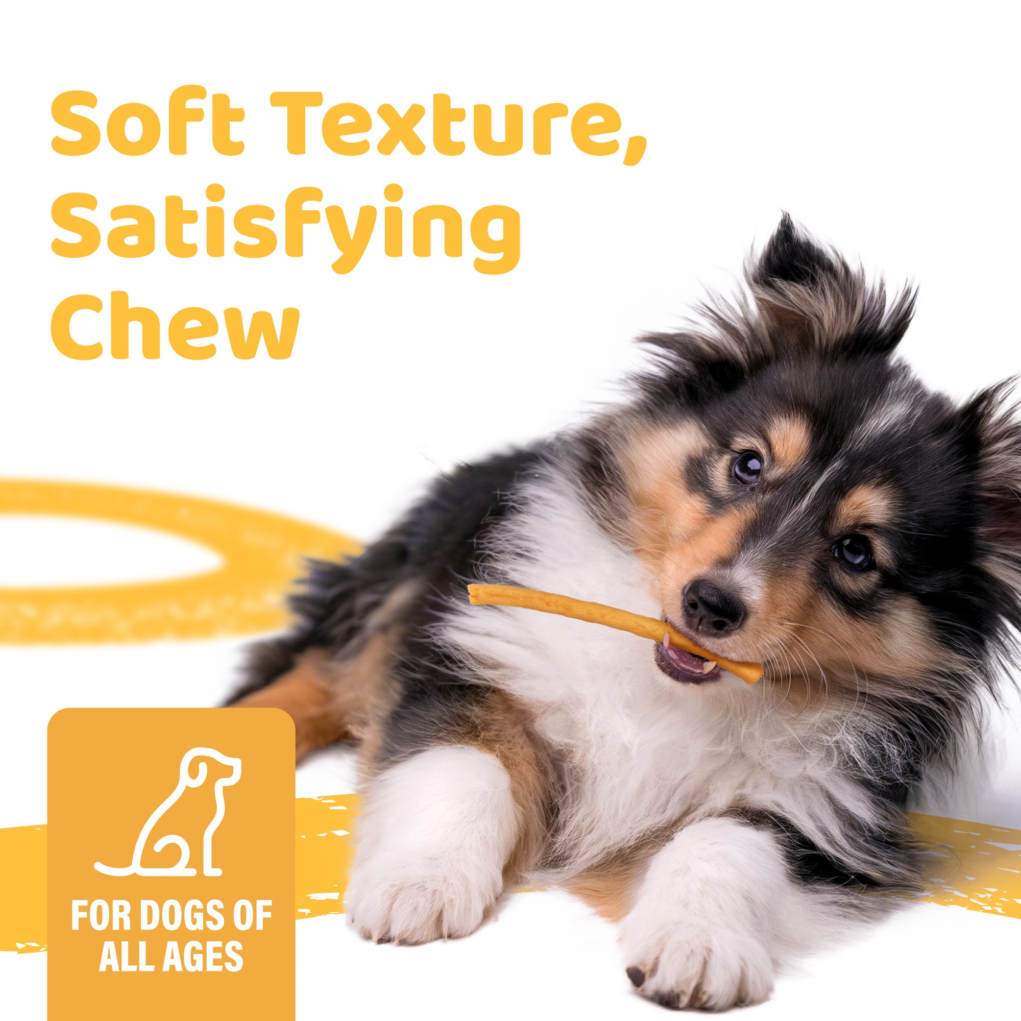 iPaw - Turkey Tendon for Dogs (Soft Strip Pumpkin)