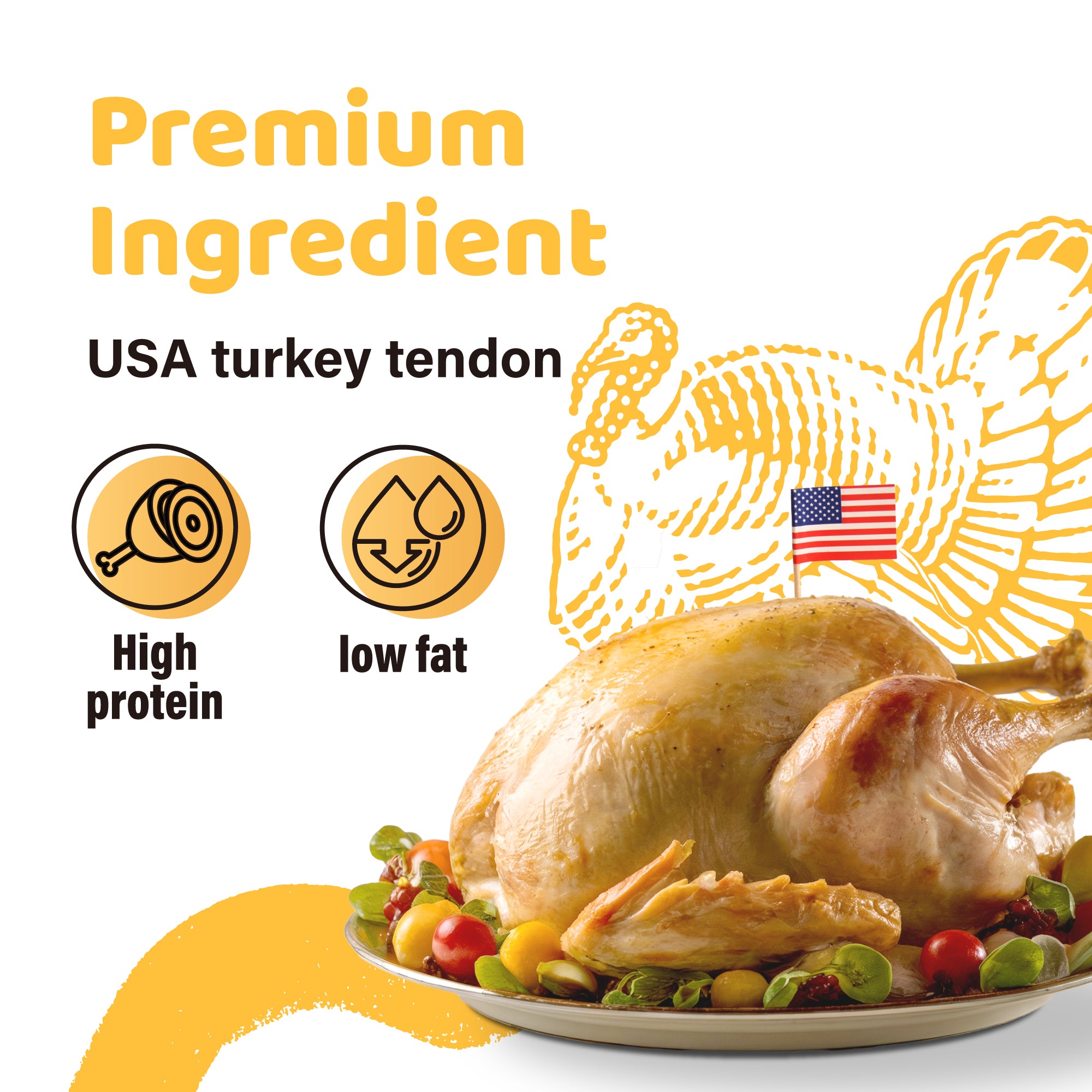 iPaw - Turkey Tendon for Dogs (Soft Strip Pumpkin) - 0