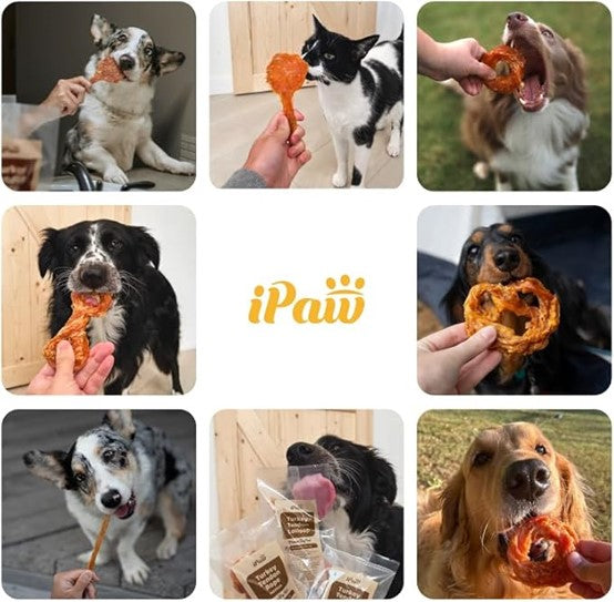 iPaw - Turkey Tendon for Dogs (Small Bone)