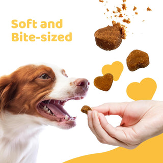 iPaw- Dog Treats for Puppy Training, All Natural Human Grade Soft Dog Treat with Probiotics, Hypoallergenic, Easy to Digest (Beef)