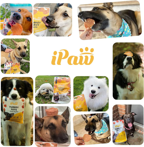 iPaw - Soft Treat for Dogs (Beef)