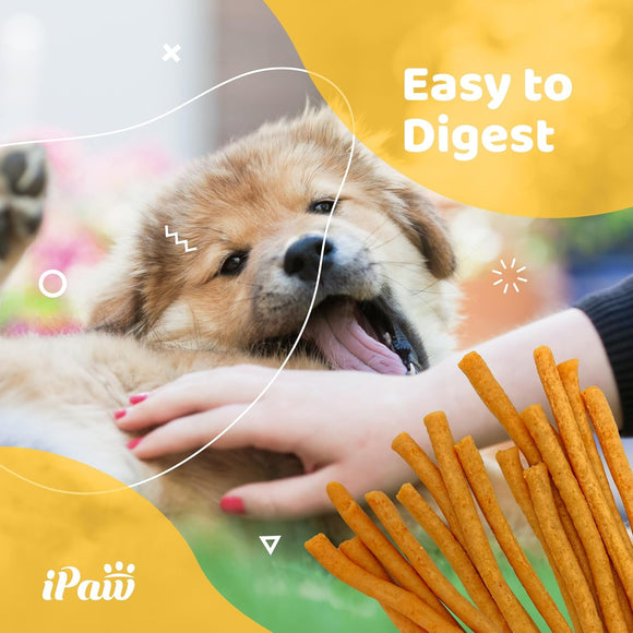 Final Batch on Sale – Near-Expired Products - iPaw - Salmon Stick (Best by Dec 2025)