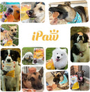 Final Batch on Sale – Near-Expired Products -iPaw - Soft Treat for Dogs (Chicken) Best by Jan 2026-7