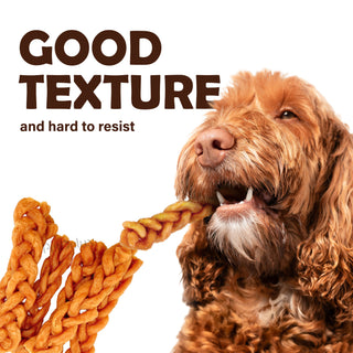 Afreschi Turkey Tendon for Dogs, Dog Treats for Classic Series, All Natural Human Grade Dog Treat, Suitable for Training chew, Ingredient Sourced from USA, Rawhide Alternative, Braided Stick