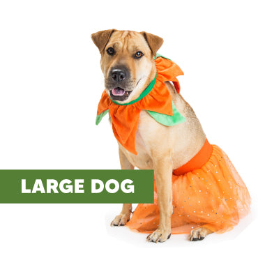 LARGE DOG