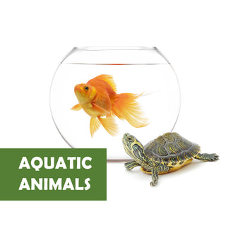 AQUATIC ANIMALS