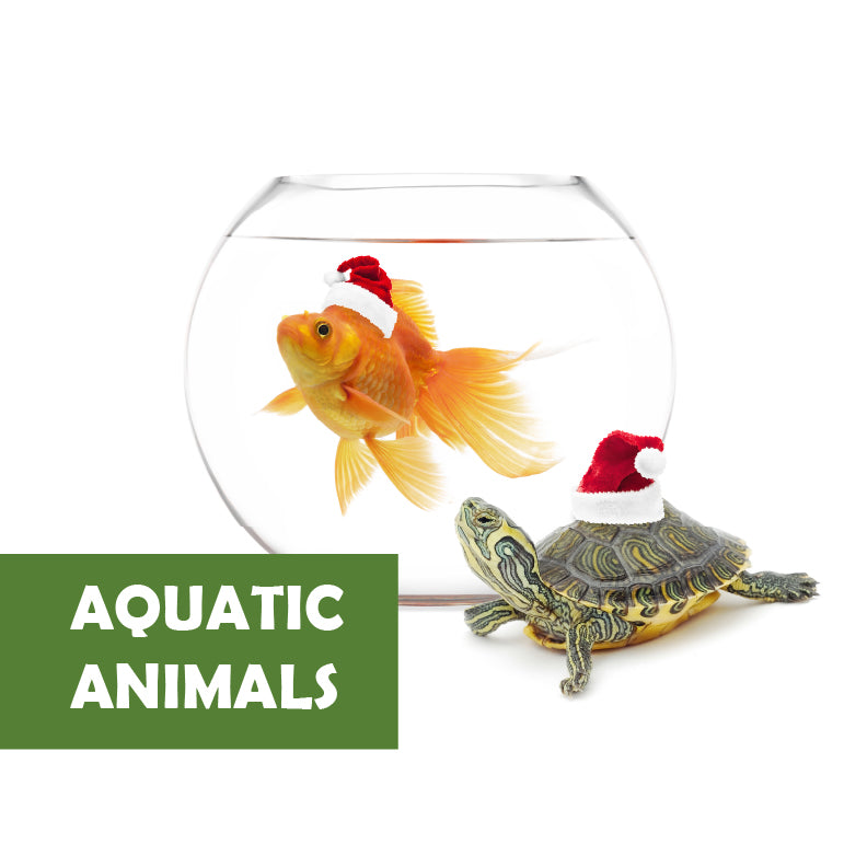 AQUATIC ANIMALS