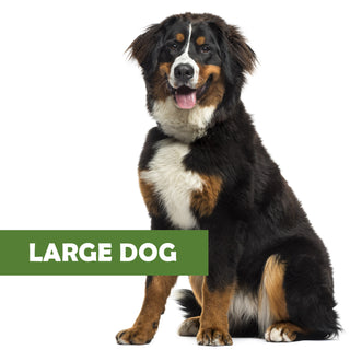 LARGE DOG