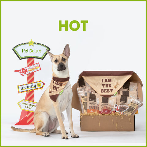 Best-Selling Turkey & Chicken Dog Treats