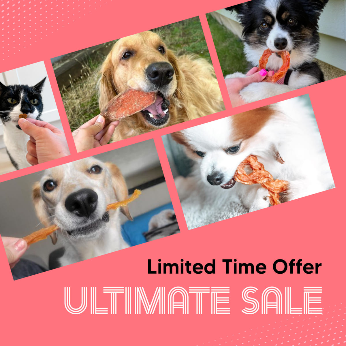 Us google  sale   1