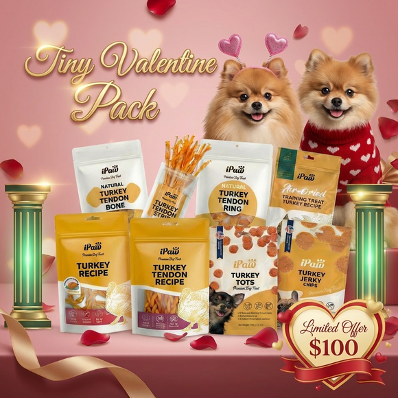 Tiny Valentine For Small Dog