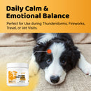 iPaw - Calming Chews for Dogs-5