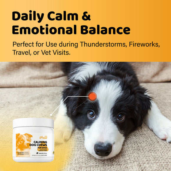 iPaw - Calming Chews for Dogs