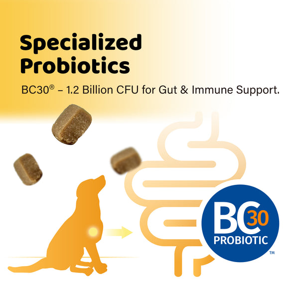 iPaw - Daily Probiotic Chews for Dogs