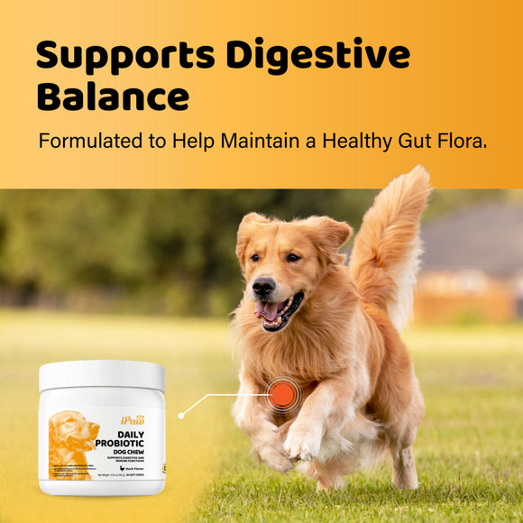iPaw - Daily Probiotic Chews for Dogs