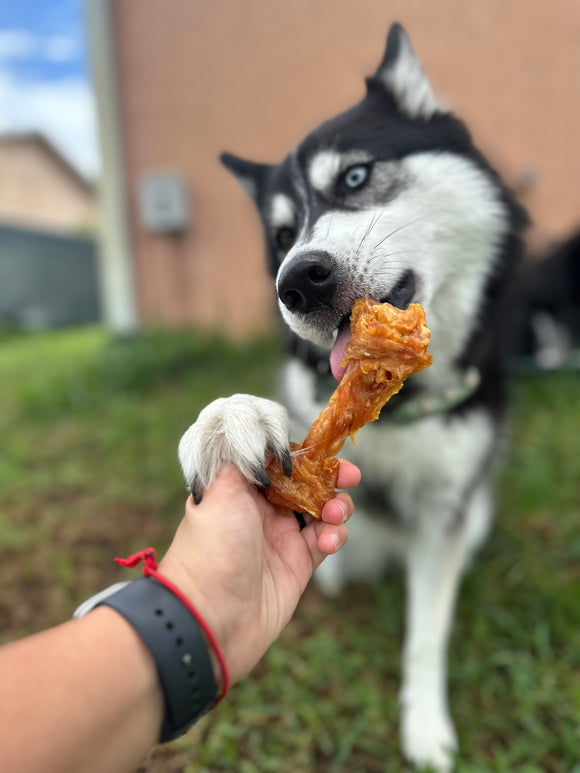 iPaw - Turkey Tendon for Dogs (Medium Bone)