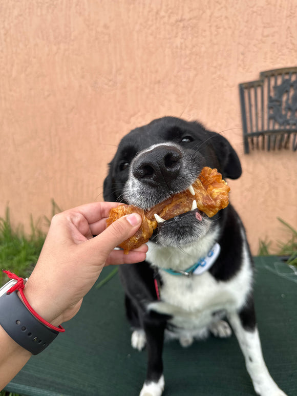 iPaw - Turkey Tendon for Dogs (Medium Bone)