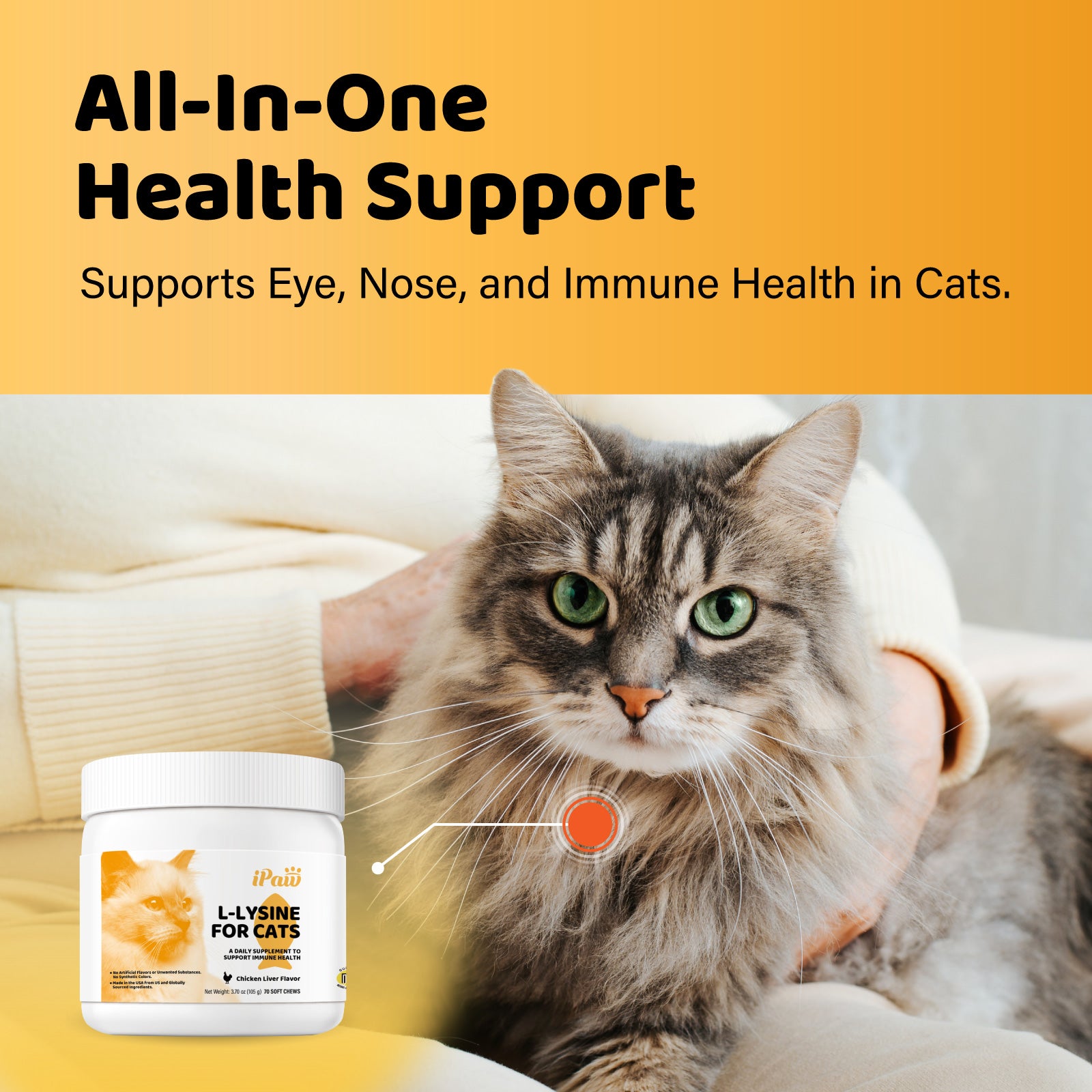 iPaw - L-Lysine for Chews for Cats