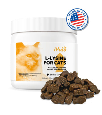 Cat Supplies